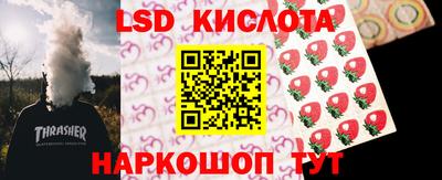 стаф Краснодар