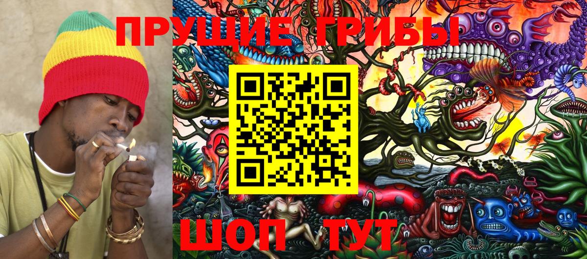 Галлюциногенные грибы Cubensis Калач-на-Дону