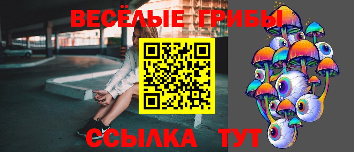 Калач-на-Дону  Галлюциногенные грибы прущие грибы  Вход с VPN  Псилоцибиновые грибы прущие грибы 